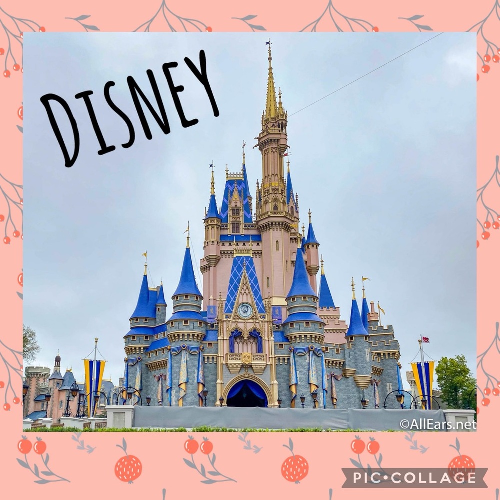 Disney Items